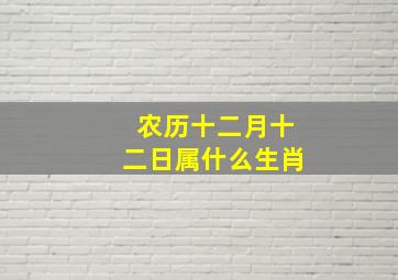 农历十二月十二日属什么生肖