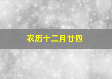 农历十二月廿四