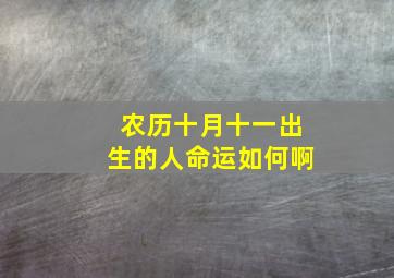 农历十月十一出生的人命运如何啊