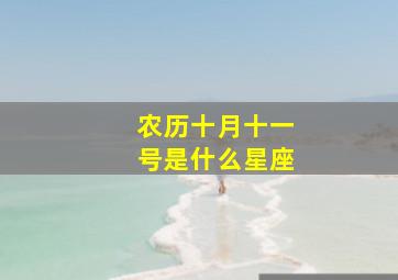 农历十月十一号是什么星座