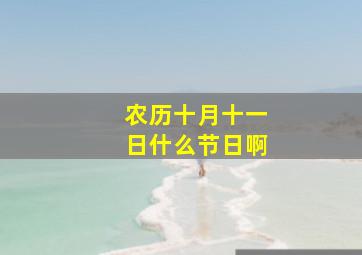 农历十月十一日什么节日啊