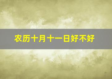 农历十月十一日好不好