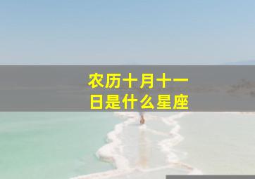 农历十月十一日是什么星座