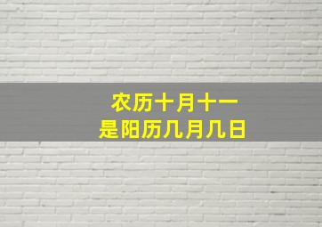 农历十月十一是阳历几月几日