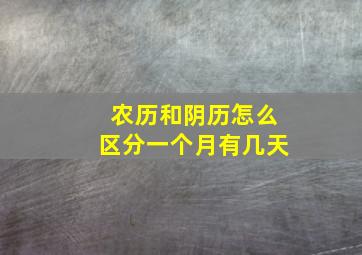 农历和阴历怎么区分一个月有几天