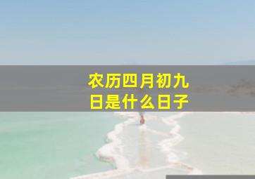 农历四月初九日是什么日子