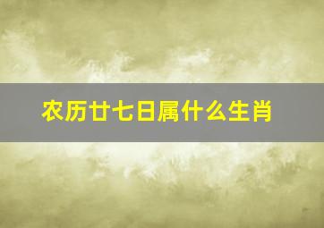 农历廿七日属什么生肖