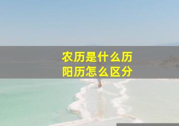 农历是什么历阳历怎么区分