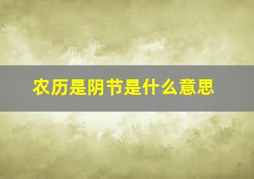 农历是阴节是什么意思