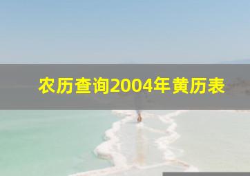 农历查询2004年黄历表