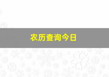 农历查询今日