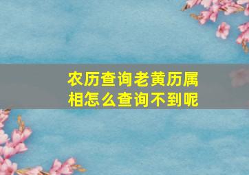 农历查询老黄历属相怎么查询不到呢