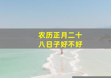 农历正月二十八日子好不好