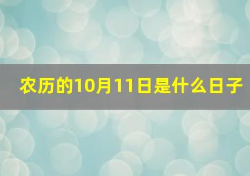 农历的10月11日是什么日子