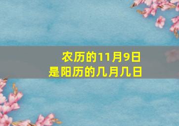 农历的11月9日是阳历的几月几日