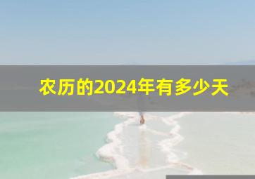 农历的2024年有多少天