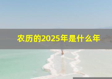 农历的2025年是什么年