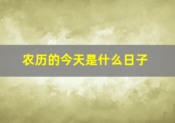 农历的今天是什么日子