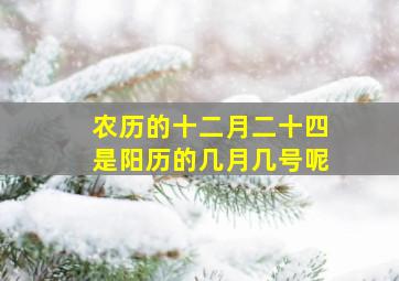 农历的十二月二十四是阳历的几月几号呢