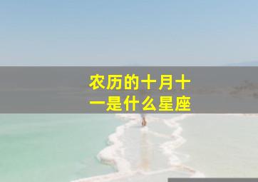 农历的十月十一是什么星座