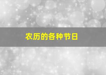 农历的各种节日