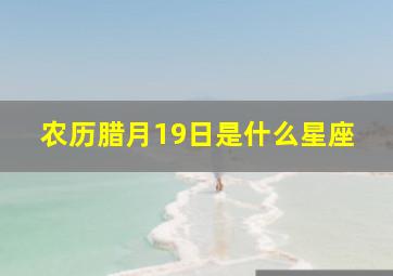 农历腊月19日是什么星座