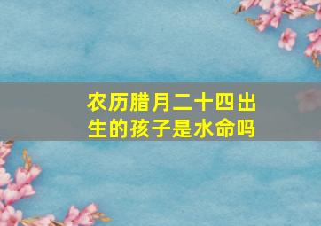 农历腊月二十四出生的孩子是水命吗