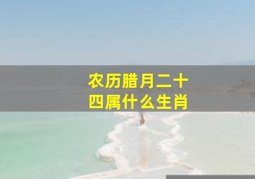 农历腊月二十四属什么生肖