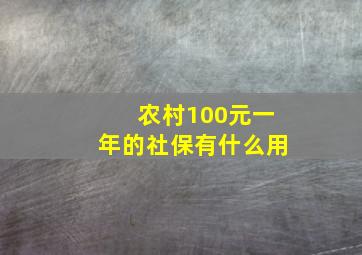 农村100元一年的社保有什么用