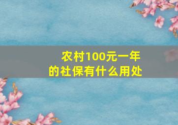 农村100元一年的社保有什么用处