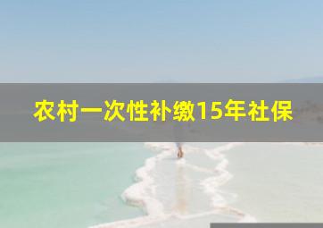 农村一次性补缴15年社保