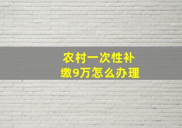 农村一次性补缴9万怎么办理