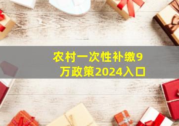 农村一次性补缴9万政策2024入口