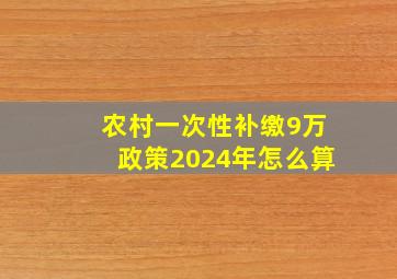 农村一次性补缴9万政策2024年怎么算