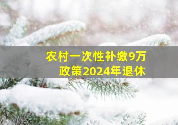 农村一次性补缴9万政策2024年退休