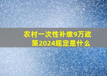 农村一次性补缴9万政策2024规定是什么