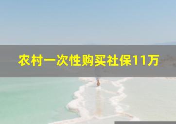 农村一次性购买社保11万