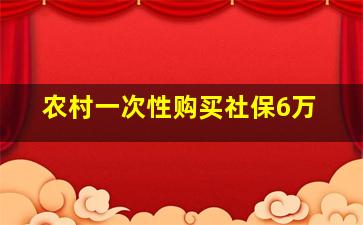 农村一次性购买社保6万