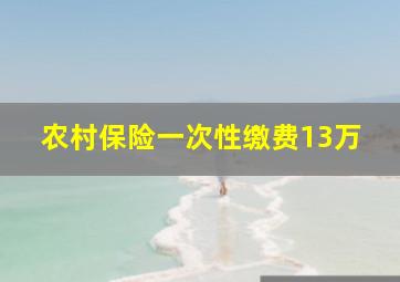 农村保险一次性缴费13万