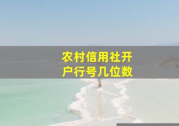 农村信用社开户行号几位数