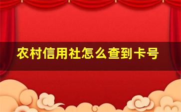 农村信用社怎么查到卡号