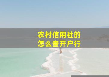 农村信用社的怎么查开户行