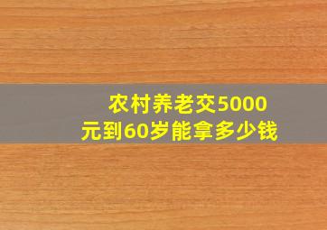 农村养老交5000元到60岁能拿多少钱