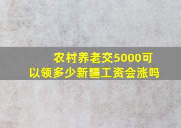 农村养老交5000可以领多少新疆工资会涨吗