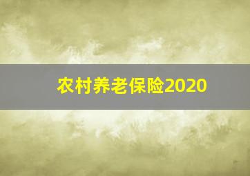 农村养老保险2020