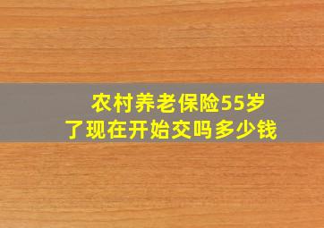 农村养老保险55岁了现在开始交吗多少钱