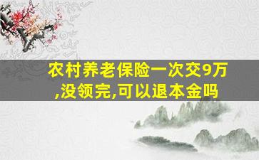 农村养老保险一次交9万,没领完,可以退本金吗