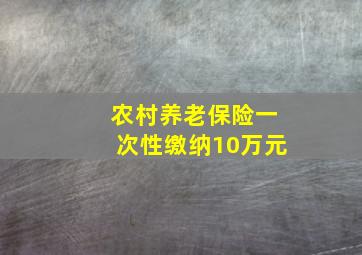 农村养老保险一次性缴纳10万元