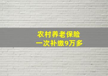 农村养老保险一次补缴9万多