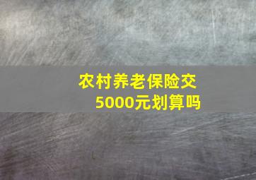 农村养老保险交5000元划算吗